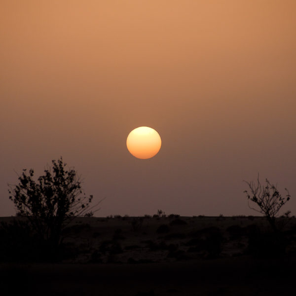 100 km du désert du Thar (Rajasthan – Inde)