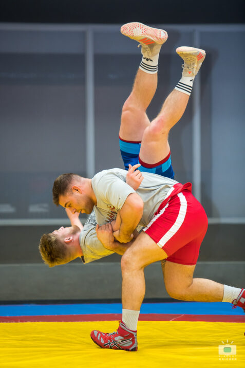 Fédération Française de Lutte - FFL