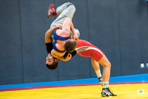 Fédération Française de Lutte - FFL