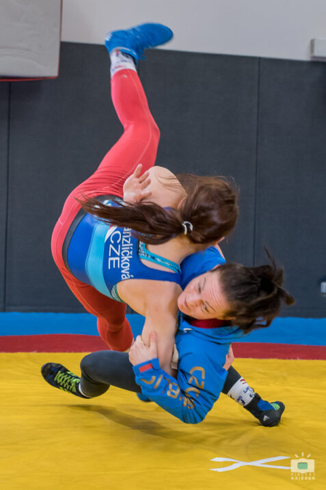 Fédération Française de Lutte - FFL