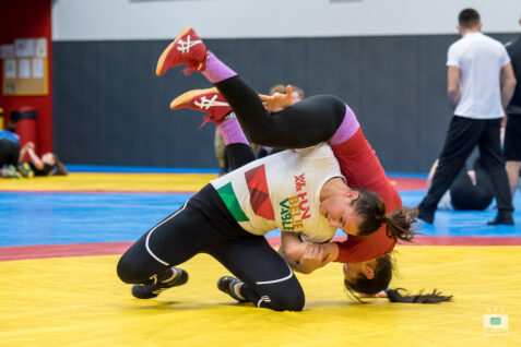 Fédération Française de Lutte - FFL