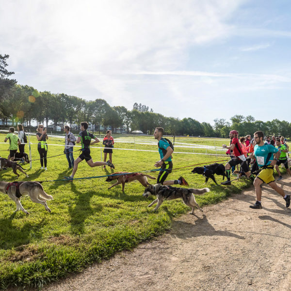 Trail Les gendarmes et les Voleurs de Temps - Ambazac