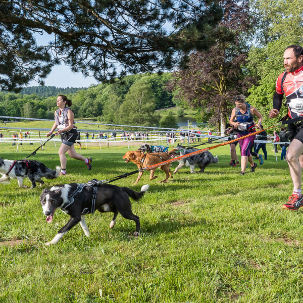 Trail Les gendarmes et les Voleurs de Temps - Ambazac