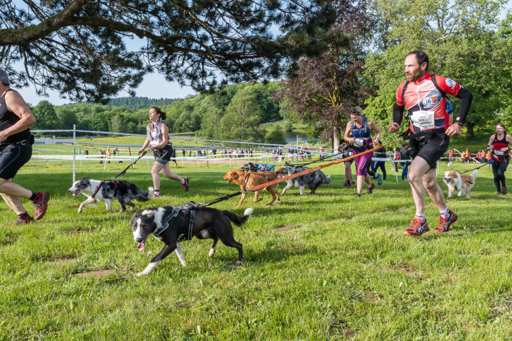 Trail Les gendarmes et les Voleurs de Temps - Ambazac