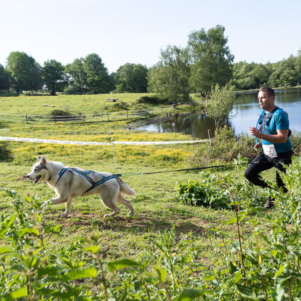 Trail Les gendarmes et les Voleurs de Temps - Ambazac