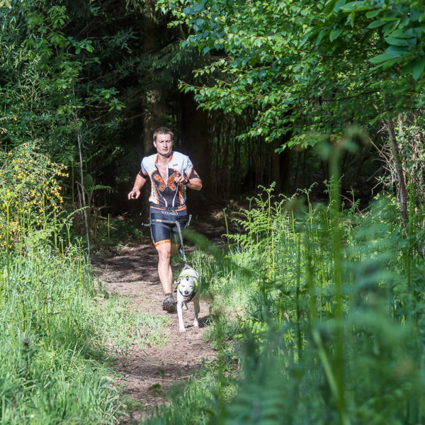Trail Les gendarmes et les Voleurs de Temps - Ambazac
