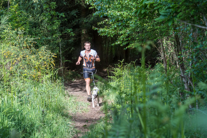 Trail Les gendarmes et les Voleurs de Temps - Ambazac