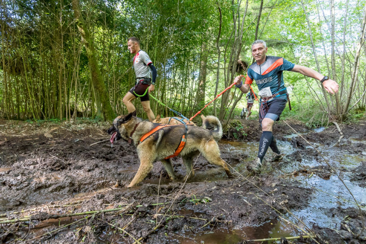 Trail Les gendarmes et les Voleurs de Temps - Ambazac