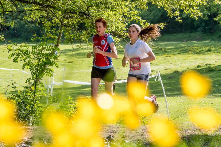 Trail Les gendarmes et les Voleurs de Temps - Ambazac