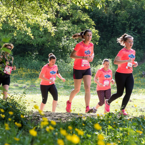 Trail Les gendarmes et les Voleurs de Temps - Ambazac