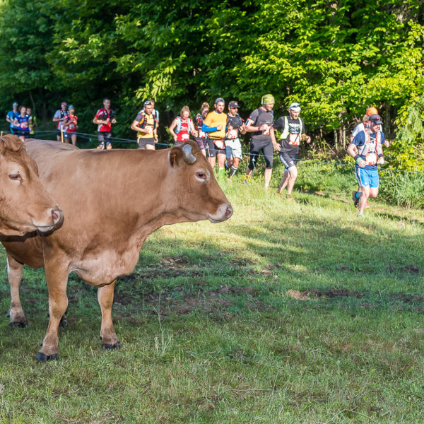 Trail Les gendarmes et les Voleurs de Temps - Ambazac