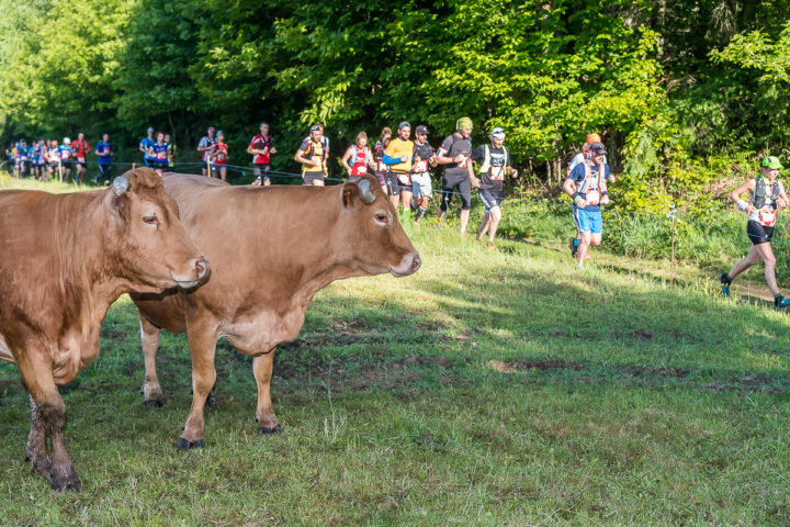 Trail Les gendarmes et les Voleurs de Temps - Ambazac
