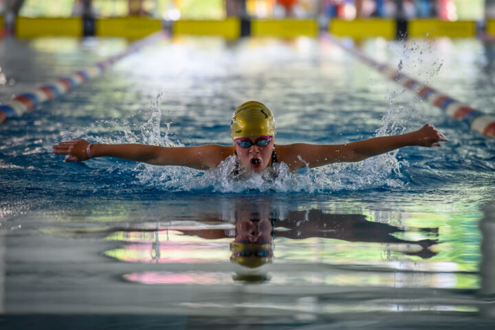 Championnat départemental de natation – Sartrouville