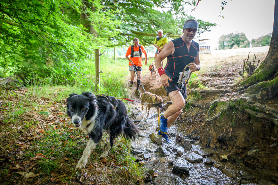 Canitrail – Canicross